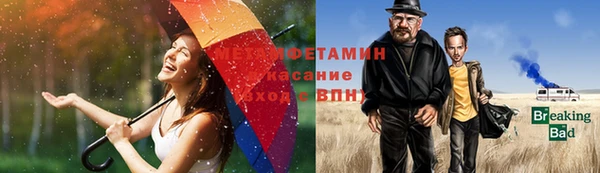 сатива Вяземский
