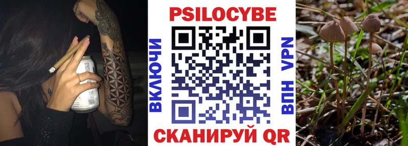 Псилоцибиновые грибы мицелий Купить закладки Боровск